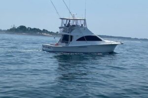 2007 Ocean 42ss for sale - photo 2