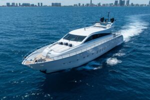 2008 Arno Leopard 31 for sale - photo 5