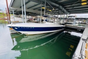 2008 Intrepid 323 Open for sale - photo 2