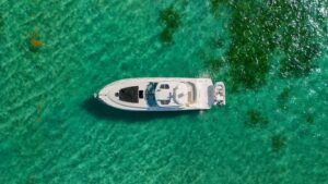 2008 Sea Ray 48 Sundancer for sale - photo 5