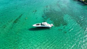 2008 Sea Ray 48 Sundancer for sale - photo 7