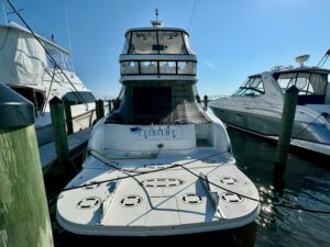 2008 Sea Ray 58 Sedan Bridge for sale - photo 6