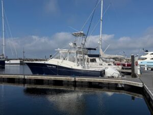 2010 Luhrs 37 OB Canyon Series for sale - photo 4
