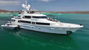 2011 Westport 40 meter for sale - photo 4