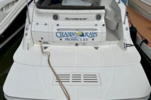 2014 Sea Ray Sundancer 350 for sale - photo 3