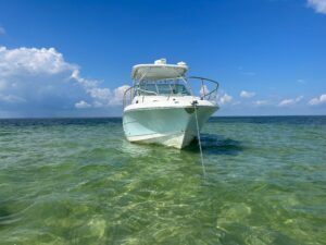 2015 Robalo R305 Walkaround for sale - photo 2