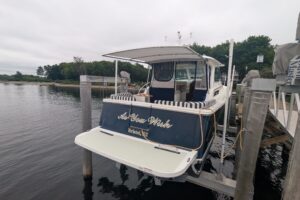 2018 Back Cove 32 for sale - photo 5