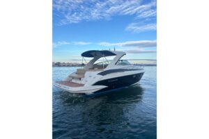 2018 Crownline 350 SY for sale - photo 2