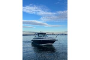 2018 Crownline 350 SY for sale - photo 3