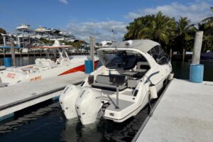 2021 Schaefer 303 for sale - photo 4