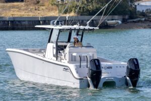 2022 Invincible 33 Catamaran for sale - photo 6