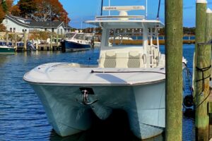 2023 Invincible 46 Catamaran for sale - photo 2