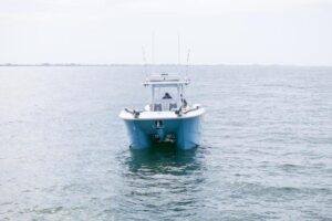 2023 Invincible 46 Catamaran for sale - photo 3