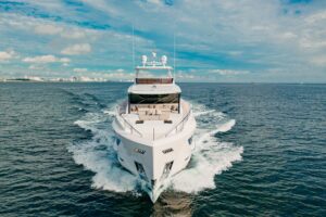 2024 Horizon FD100 for sale - photo 4