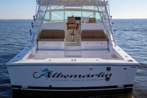 2026 Albemarle 41 Custom Carolina Edition for sale - photo 6