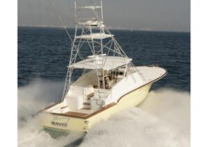 2026 Buddy Davis 48 Express for sale - photo 3