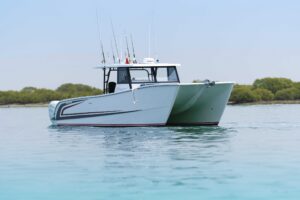 2026 Custom SilverCAT 40CC for sale