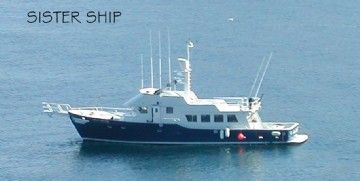 2028 Bray Yacht Design Ocean Series Long Range Sportfisher